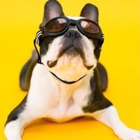 用户1135041632210头像