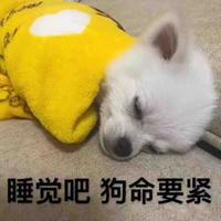 用户三亿头像