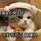 依然阔头像