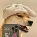 呲牙咧嘴的狗头像
