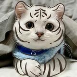 惠州陈小姐头像