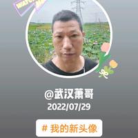 武汉萧哥早上9点30开播头像