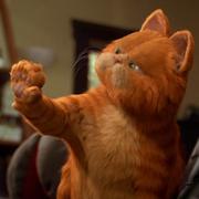 王凯843的个人资料头像