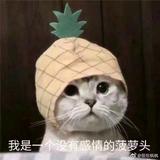 鱼蜀黍头像