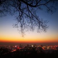 6小涛哥6头像
