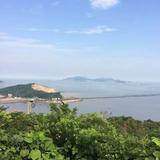 云淡风轻164455130582头像