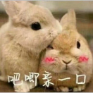 小新天天的个人资料头像