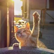 爱学习的勇的个人资料头像