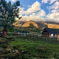 才高八斗博学小木头像