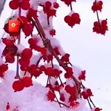 用户3536954221062头像