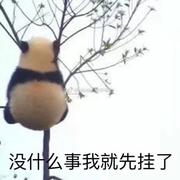 卋罖246的个人资料头像