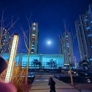 雪狼组的个人资料头像