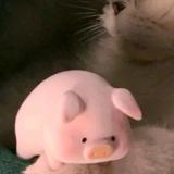 杰洁捷头像