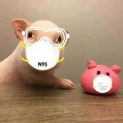 Allure525的个人资料头像