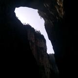 不吃鱼的猫头像