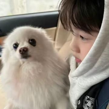 顶级小羊OYS头像