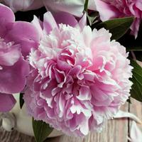 随风5991738214915头像