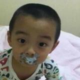 13245509头像