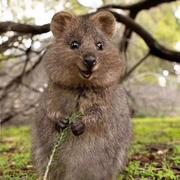 yueming的个人资料头像