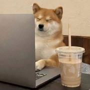 Monkey_的个人资料头像