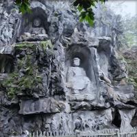 慈善我是格鲁特头像