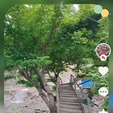 何家老七8549头像
