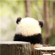 Mostly_Harmless的个人资料头像