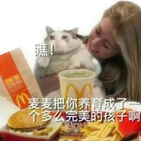 一默抵万言头像