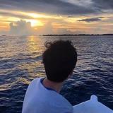 太阳头像