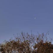 你是不是油猫饼的个人资料头像