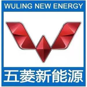 广东五菱菱势汽车头像