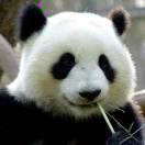 _Cipher的个人资料头像