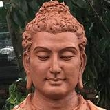 小伙1172头像
