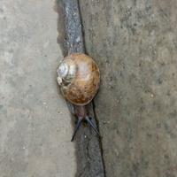 用户9313284886947头像