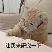 今天变成小蛋糕了吗的个人资料头像
