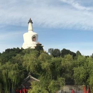 京城任我行头像