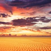 余生ovo的个人资料头像