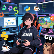 会编程的游戏君的个人资料头像