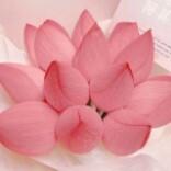 啥得mate精灵头像