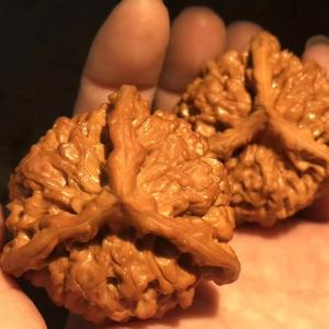 曦阔文玩核桃头像