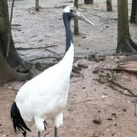 故乡的wan情头像