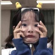 六月折耳猫的个人资料头像