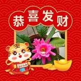 陈军池2头像