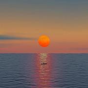 薯仔的个人资料头像