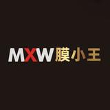 膜小王TPU车衣头像