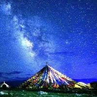 大舜二手车头像