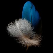 上头研发工程师的个人资料头像