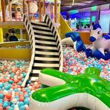 强国人666啊头像