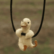 swcode的个人资料头像