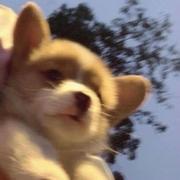 未央75的个人资料头像